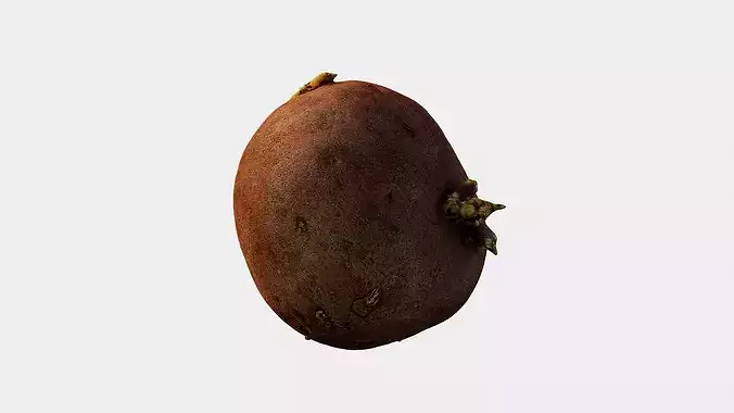 Scanned Sprouted Potato Photogrammetry 3D Model Low-poly 3D model 7