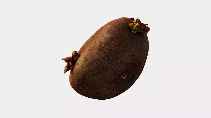 Scanned Sprouted Potato Photogrammetry 3D Model Low-poly 3D model 4