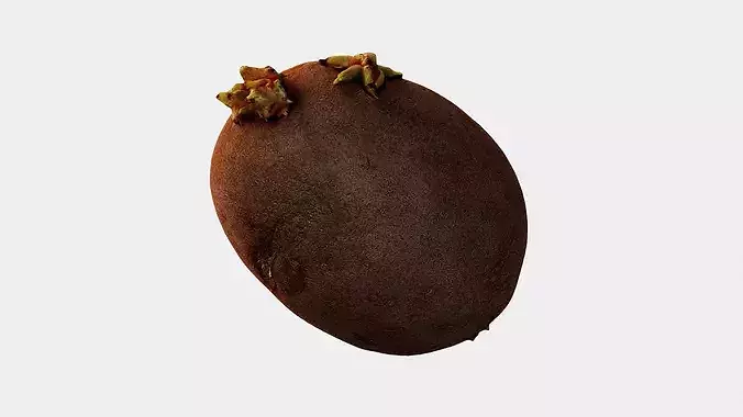 Scanned Sprouted Potato Photogrammetry 3D Model Low-poly 3D model 2