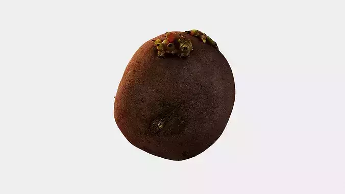 Scanned Sprouted Potato Photogrammetry 3D Model Low-poly 3D model 3