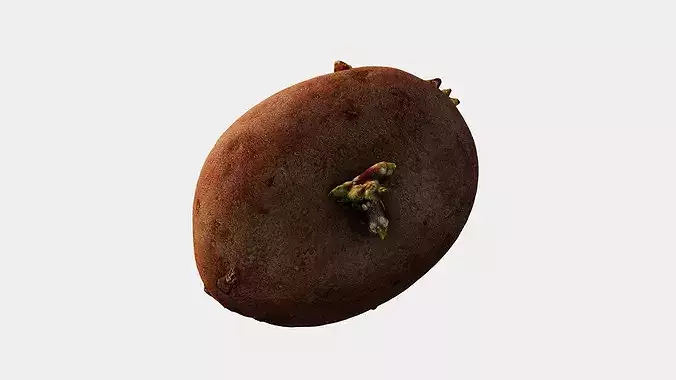 Scanned Sprouted Potato Photogrammetry 3D Model Low-poly 3D model 6