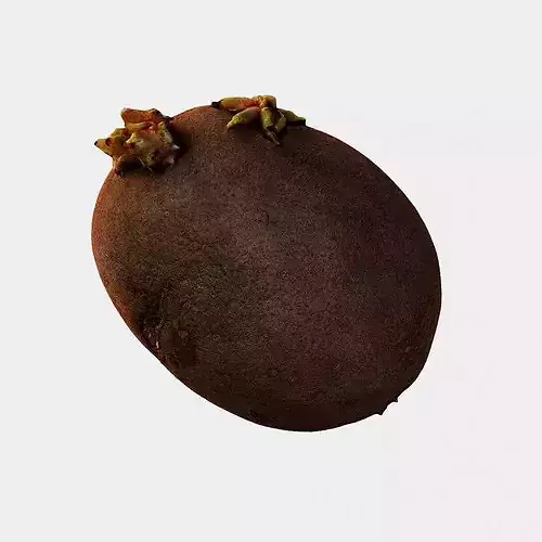 Scanned Sprouted Potato Photogrammetry 3D Model Low-poly 3D model