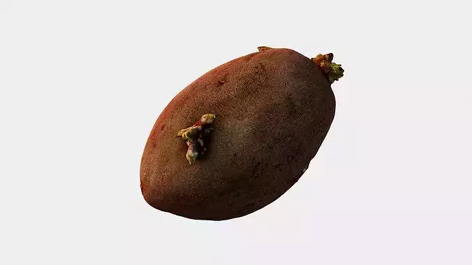 Scanned Sprouted Potato Photogrammetry 3D Model Low-poly 3D model 5