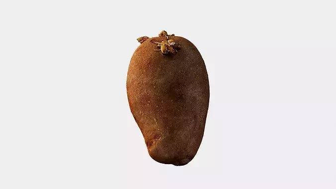 Scanned Sprouted Potato Photogrammetry 3D Model Low-poly 3D model 6