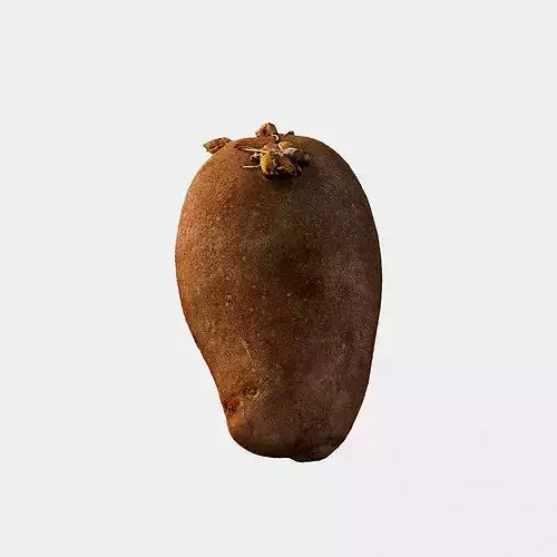 Scanned Sprouted Potato Photogrammetry 3D Model Low-poly 3D model