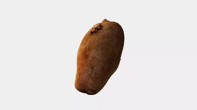 Scanned Sprouted Potato Photogrammetry 3D Model Low-poly 3D model 5