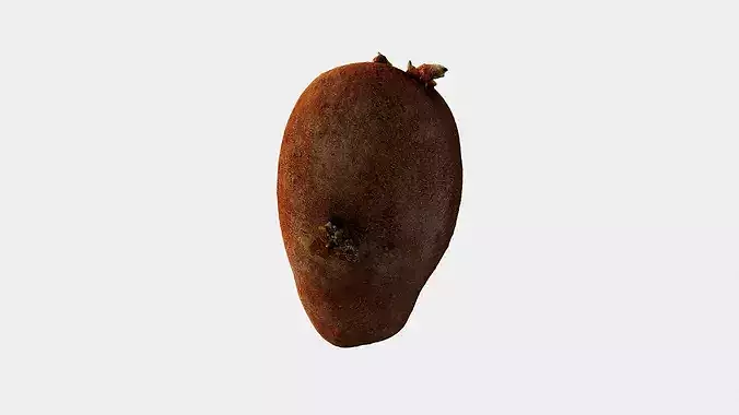 Scanned Sprouted Potato Photogrammetry 3D Model Low-poly 3D model 2