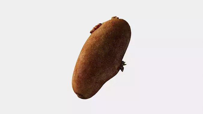 Scanned Sprouted Potato Photogrammetry 3D Model Low-poly 3D model 4