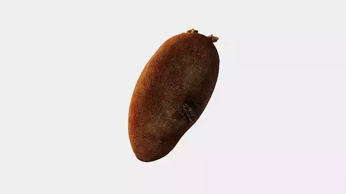 Scanned Sprouted Potato Photogrammetry 3D Model Low-poly 3D model 3