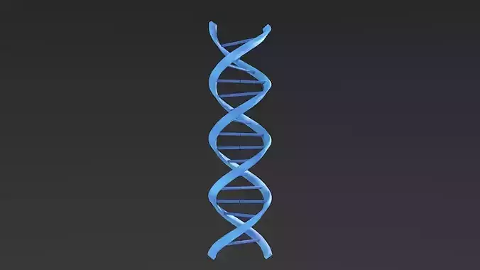DNA helix 3D model