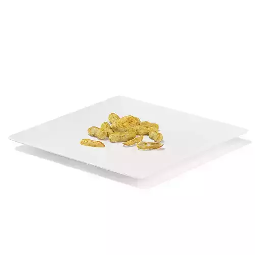 Peanuts on White Plate