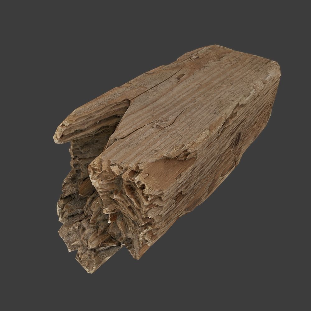 Wood Timber Debris Low-poly 3D model_9