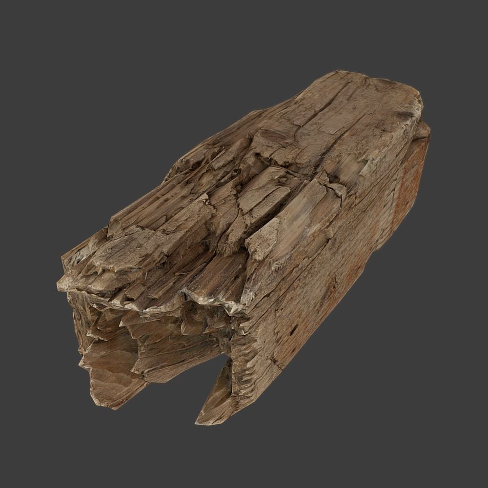 Wood Timber Debris Low-poly 3D model_14