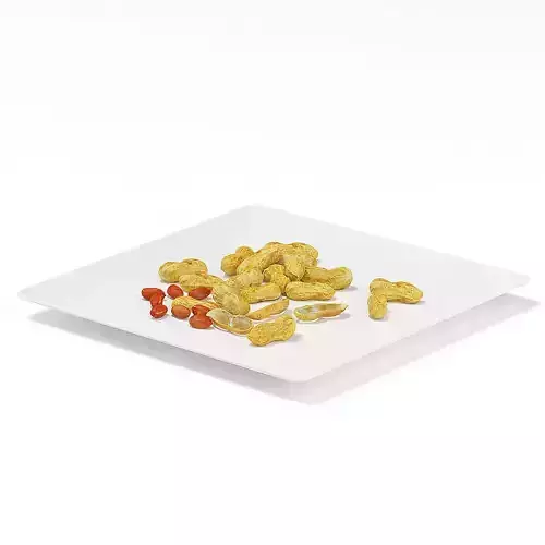 Whole and Peeled Peanuts 3D model