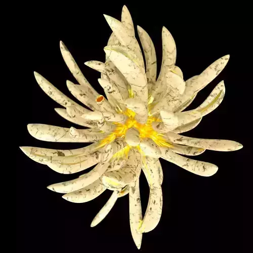 Golden Lotus Low-poly 3D model