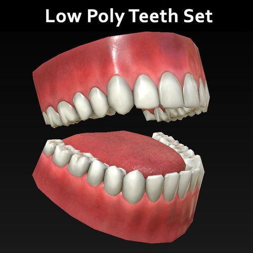 Low Poly Teeth Set with PBR textures Low-poly 3D model