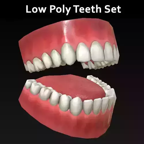Low Poly Teeth Set with PBR textures Low-poly 3D model