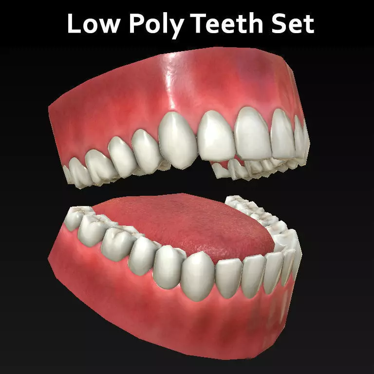 Low Poly Teeth Set with PBR textures Low-poly 3D model_0