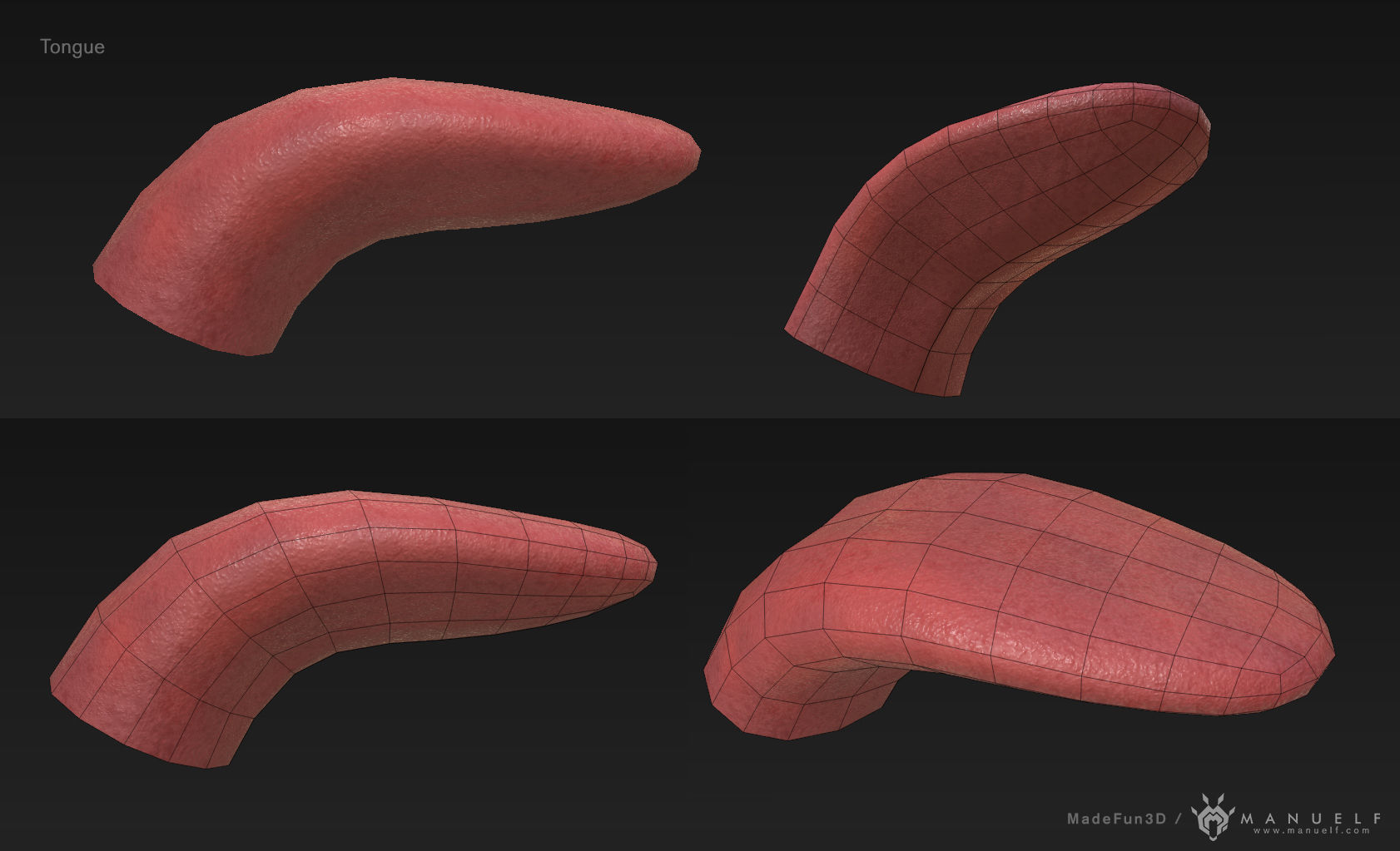 Low Poly Teeth Set with PBR textures Low-poly 3D model_4