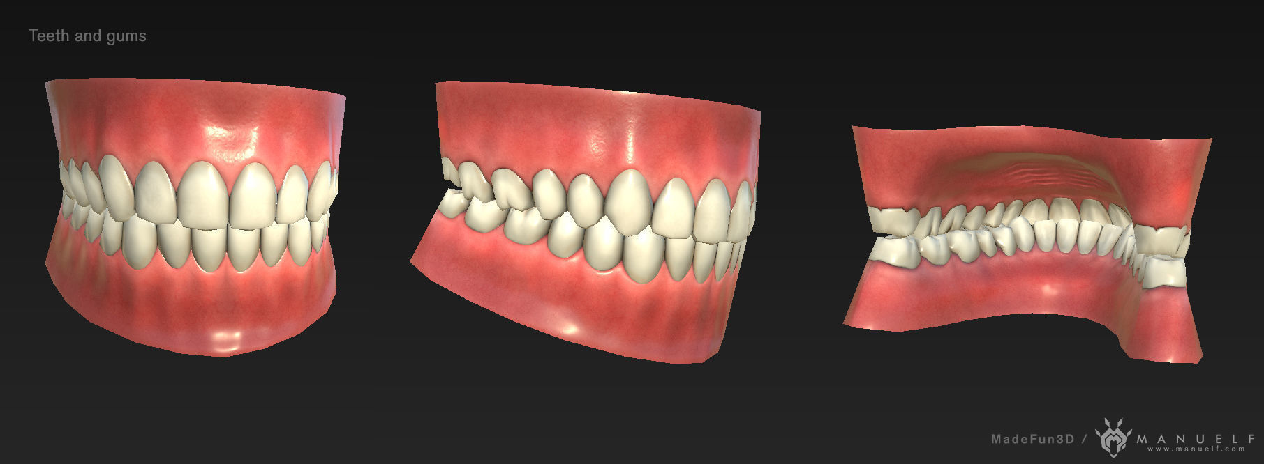Low Poly Teeth Set with PBR textures Low-poly 3D model_1