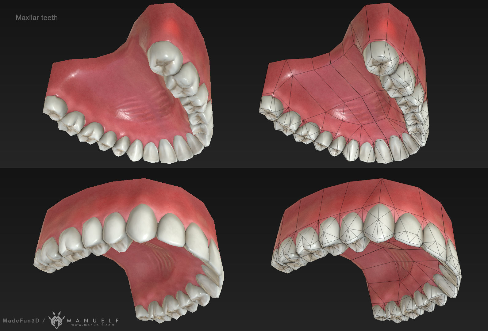 Low Poly Teeth Set with PBR textures Low-poly 3D model_3