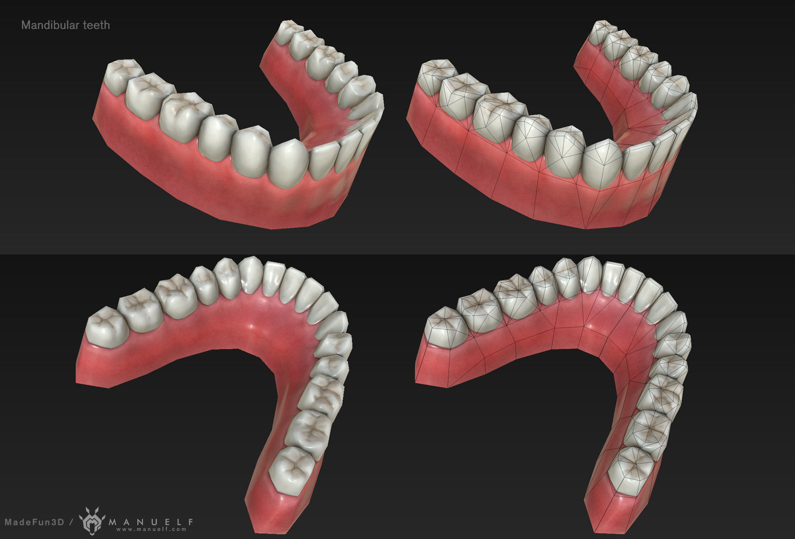 Low Poly Teeth Set with PBR textures Low-poly 3D model_2