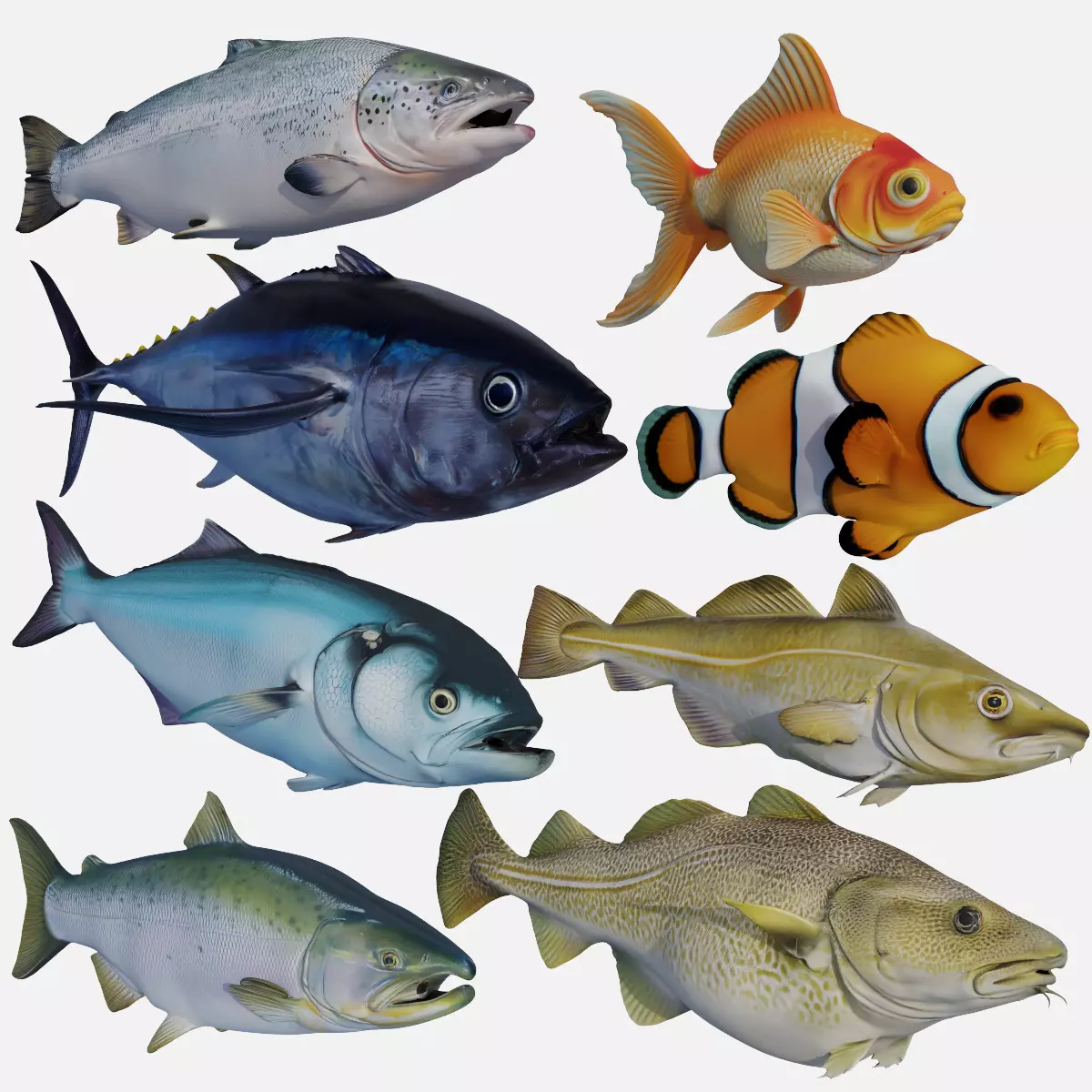 Fish - Set of 8 - Tuna Salmon Cod Trout Low-poly 3D model