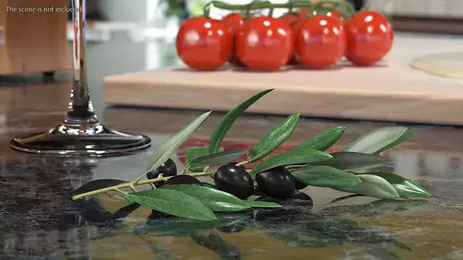 Olive Branch with Black Olives Resting 3D model 3