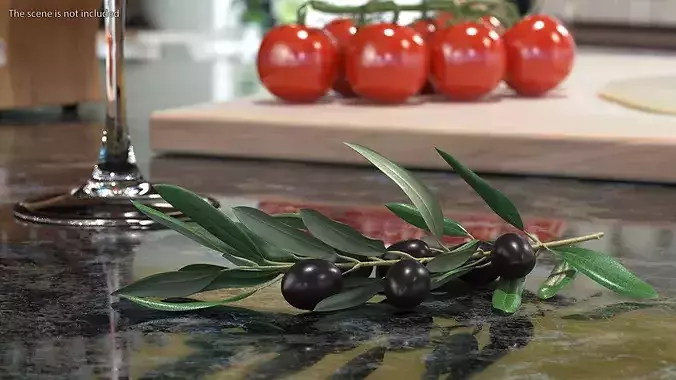 Olive Branch with Black Olives Resting 3D model 2