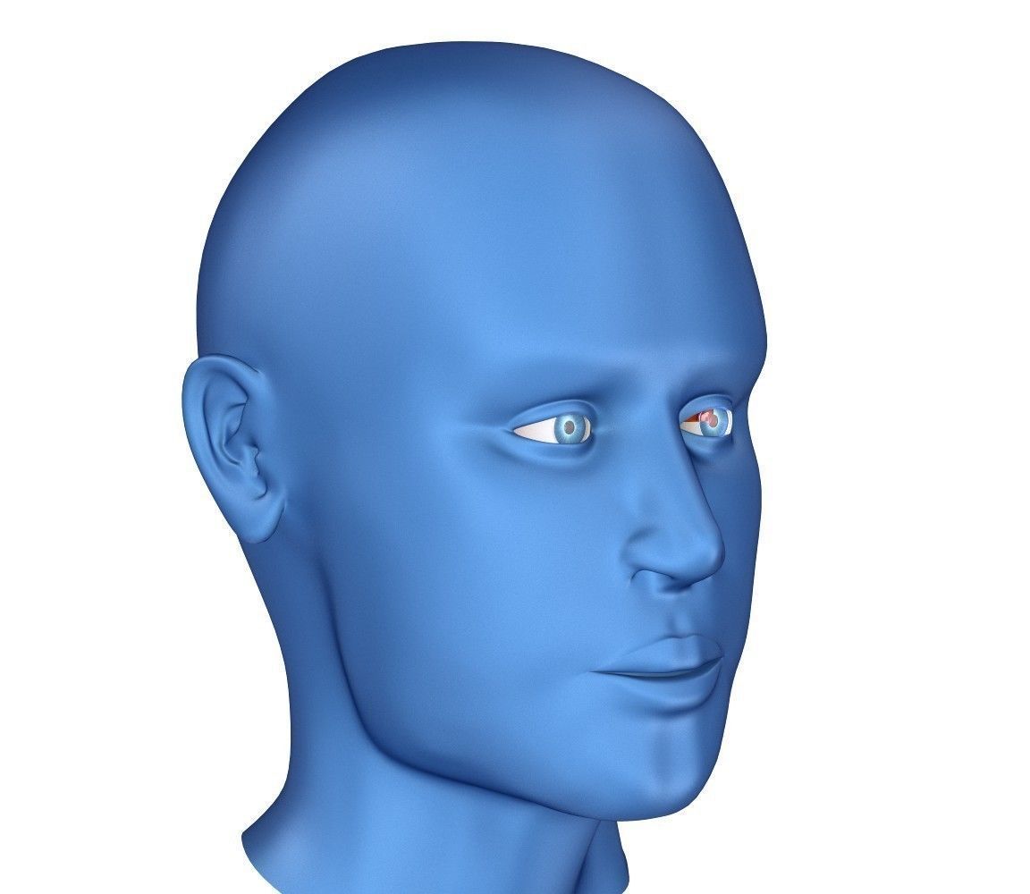 Eye anatomy - inner structure  3D model_10