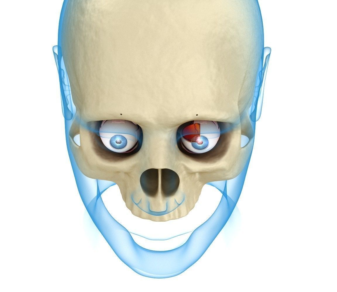 Eye anatomy - inner structure  3D model_9