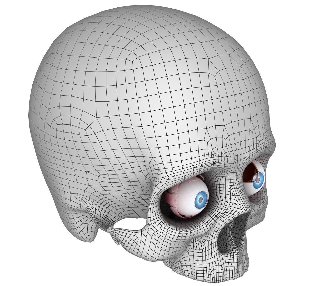 Eye anatomy - inner structure  3D model_14