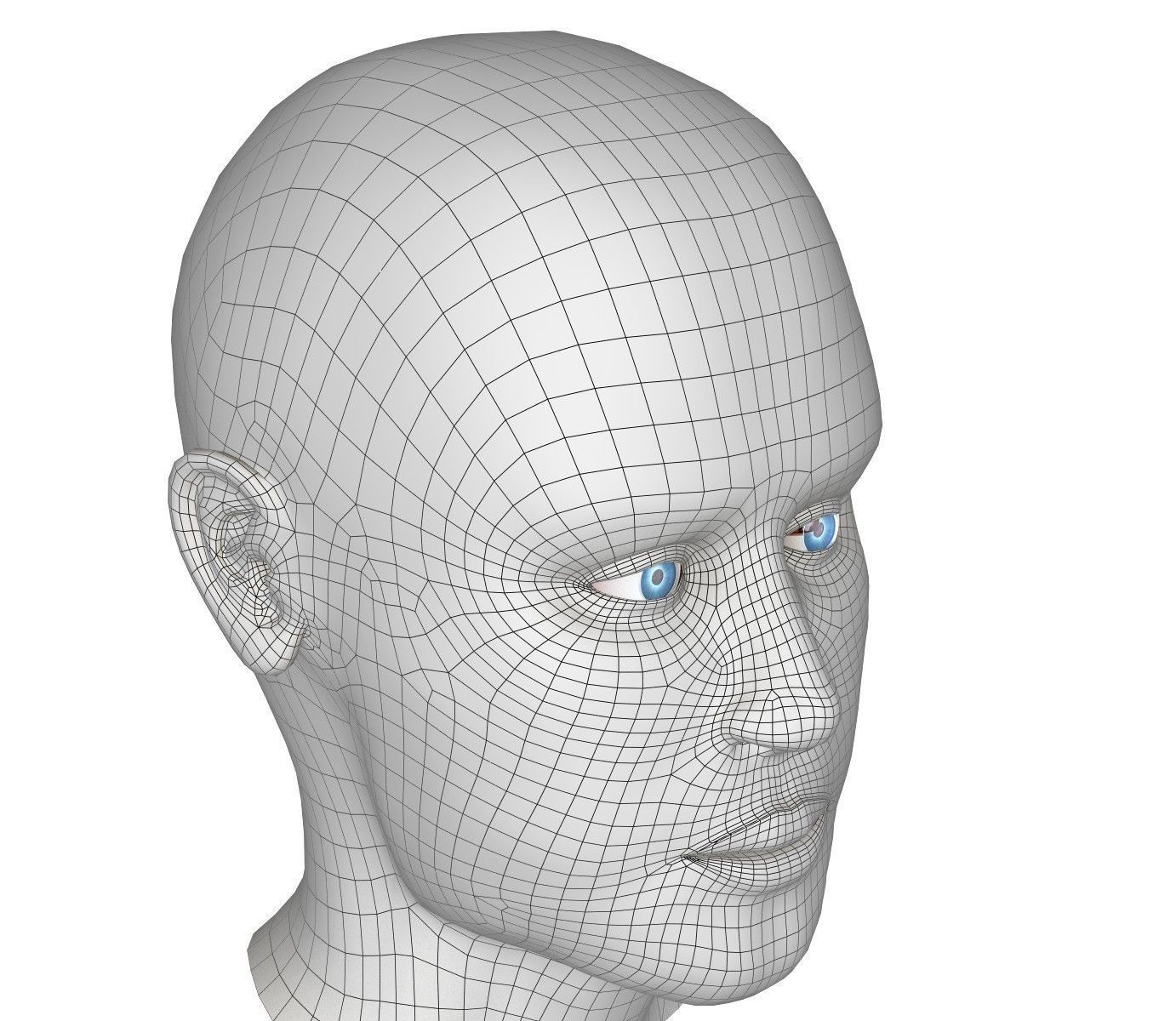 Eye anatomy - inner structure  3D model_13