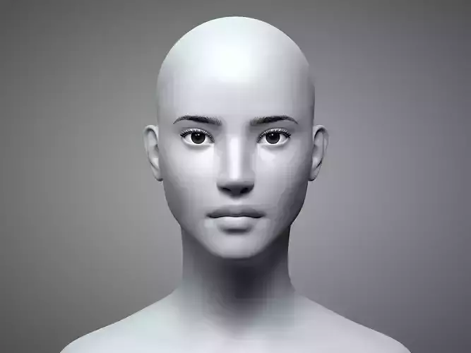 Female Head 1 3D model