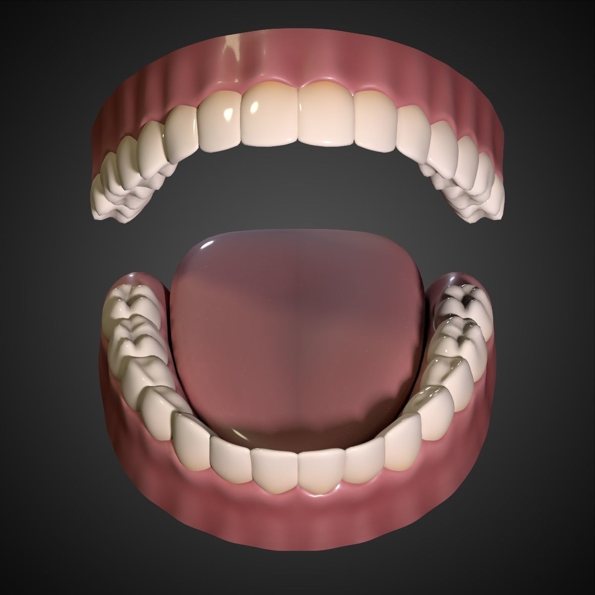 Teeth - Mouth Interior  3D model_1