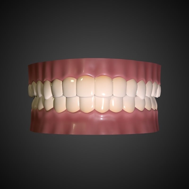 Teeth - Mouth Interior  3D model_6