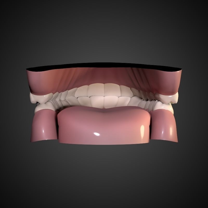 Teeth - Mouth Interior  3D model_8