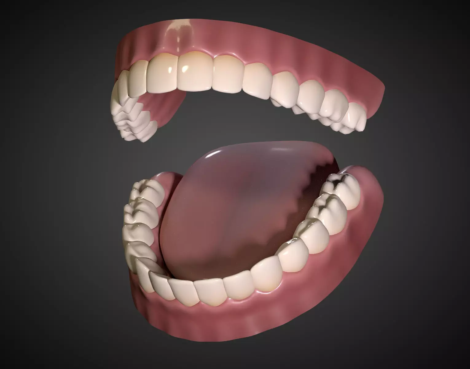 Teeth - Mouth Interior  3D model_0