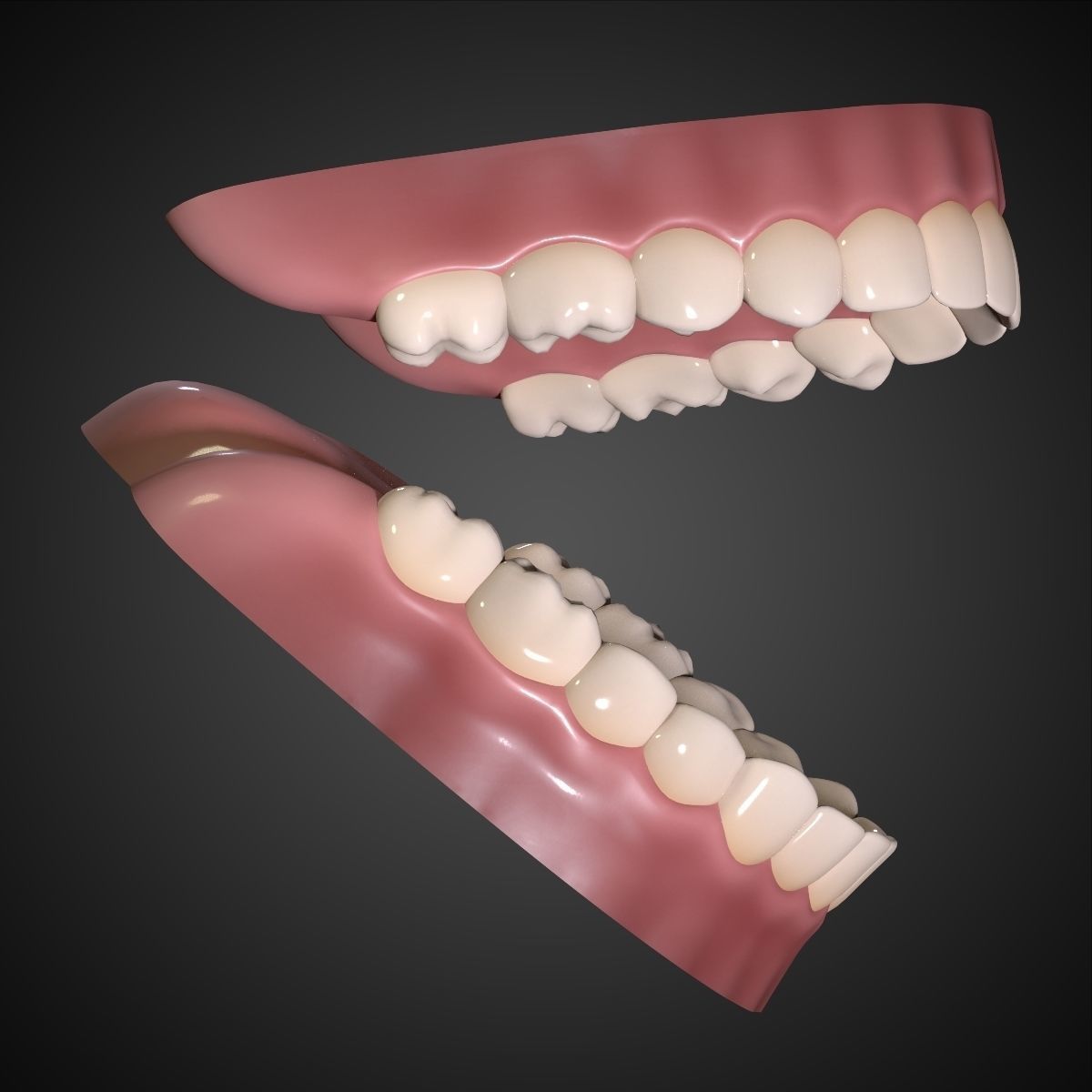 Teeth - Mouth Interior  3D model_5