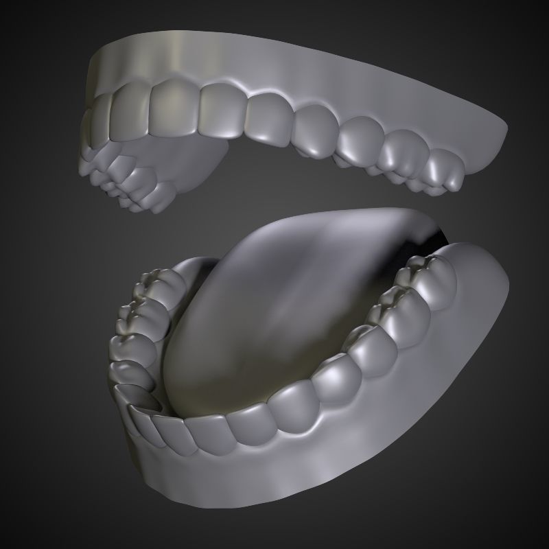 Teeth - Mouth Interior  3D model_9