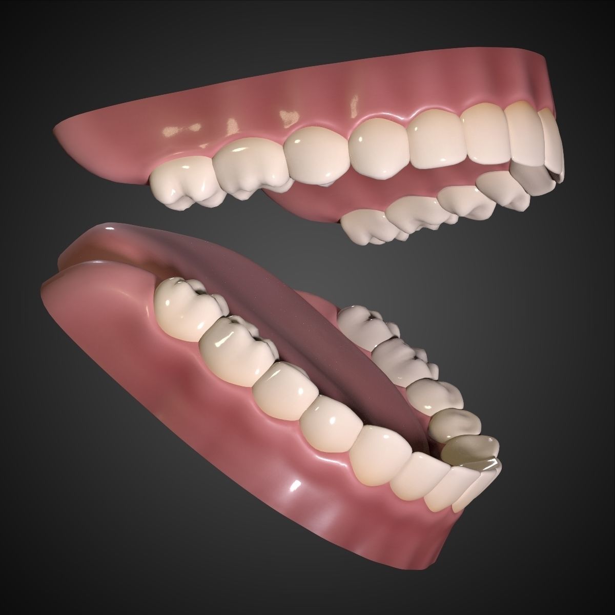 Teeth - Mouth Interior  3D model_4