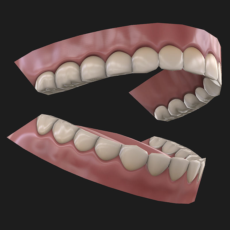 Low-poly Teeth Low-poly 3D model_2