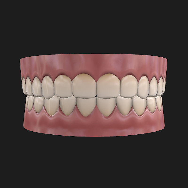 Low-poly Teeth Low-poly 3D model_4