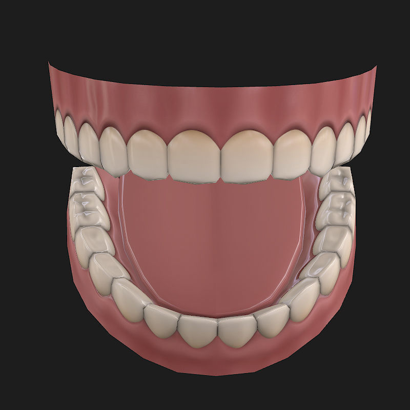 Low-poly Teeth Low-poly 3D model_3