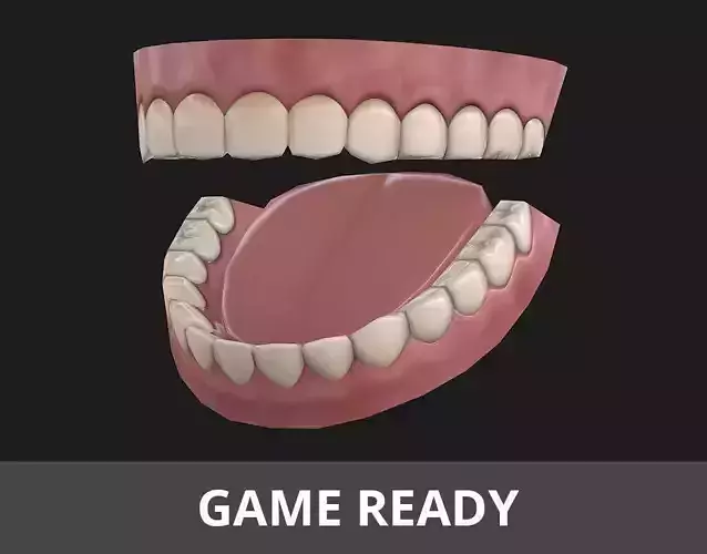 Low-poly Teeth Low-poly 3D model