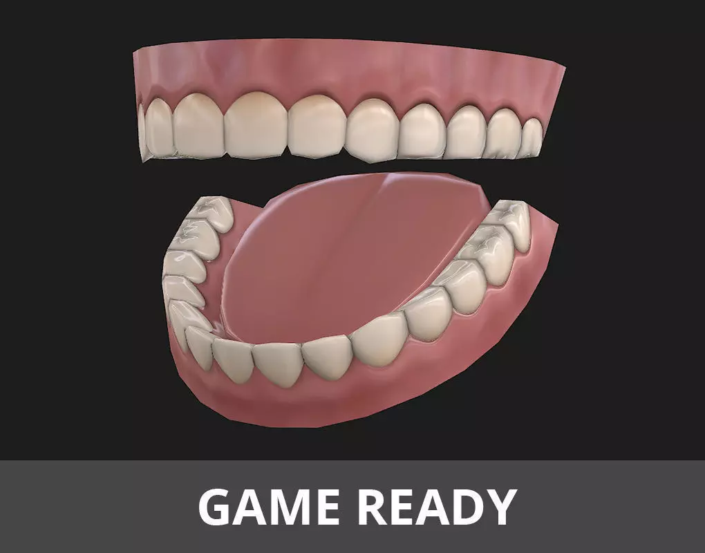 Low-poly Teeth Low-poly 3D model_0