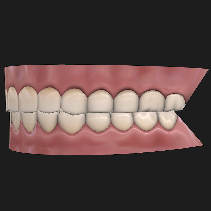 Low-poly Teeth Low-poly 3D model_5