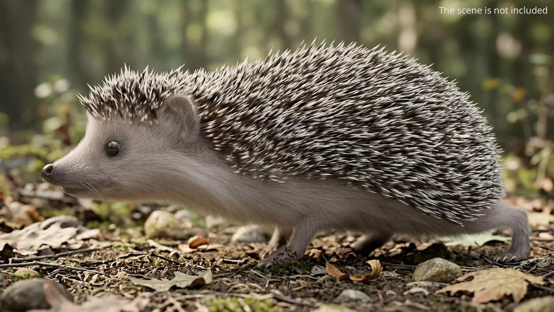 Hedgehog Walking Fur Animated Rigged For Maya 3D model