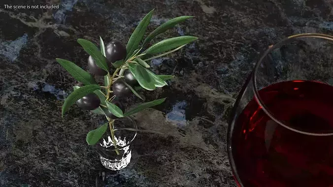 Olive Branch with Dark Olives 3D model 6