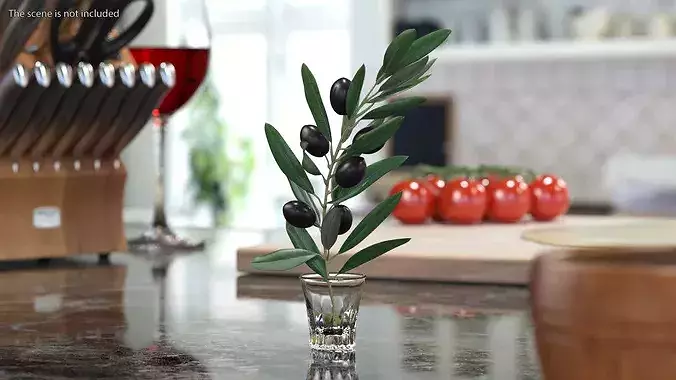 Olive Branch with Dark Olives 3D model 4